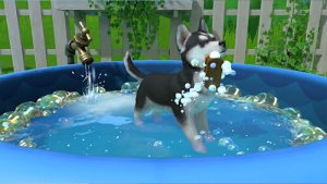LITTLE FRIENDS: PUPPY ISLAND SWITCH 4