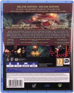 Sony Interactive Entertainment THE KNIGHT WITCH DELUXE EDITION PS4 3