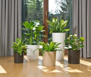 Doniczka LILIA DŁUTO WOOD 250 - biały LA840-05 LAMELA 5