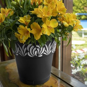 Puku pods ar paliktni Gaia O20x19cm melns 8003507884038 1