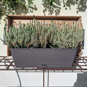 Lumarko Puku kaste Liberty 50x18x16cm peleka 8003507875081 2