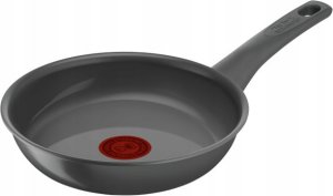 Tefal Renewal  24 cm  peleka - Panna cepsanai 1
