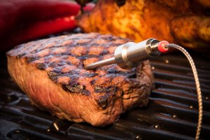 HerQs Probes - Temperaturas merisanas zondes 12