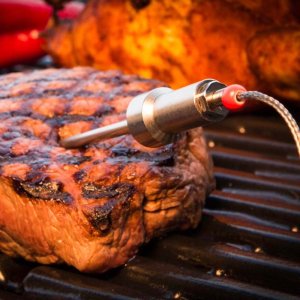 HerQs Probes - Temperaturas merisanas zondes 3