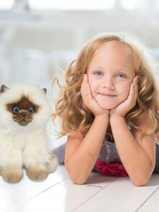 MASKOTKA KOT SYJAMSKI PLUSZOWY SIAMESE 30CM SMILY 3