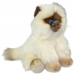 MASKOTKA KOT SYJAMSKI PLUSZOWY SIAMESE 30CM SMILY 5
