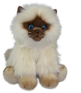 MASKOTKA KOT SYJAMSKI PLUSZOWY SIAMESE 30CM SMILY 6