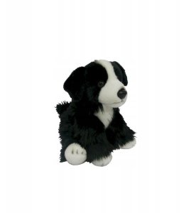 PIES MASKOTKA BORDER COLLIE Pluszak piesek 26cm 0+ 5