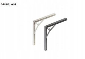 HOLDER SHELF 300X145 5900 CR 8