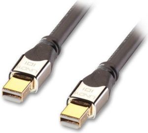 Kabel Lindy DisplayPort Mini - DisplayPort Mini 2m srebrny (41542) 1