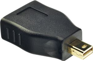Adapter AV Lindy DisplayPort Mini - DisplayPort czarny (41077) 1