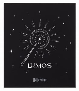 Zestaw MOLESKINE Harry Potter 2024, edycja limitowana 1