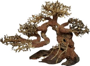 4FISH Trærødder, Bonsai, 30x15x23 cm 1