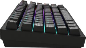ALU81A Terra Nova Black, G3MS Moonstone Switch UK/DE ISO 1