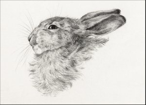 Plakat 18x13cm Głowa Królika, Jean Bernard Vintage do Salonu 2