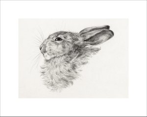Plakat 18x13cm Głowa Królika, Jean Bernard Vintage do Salonu 3