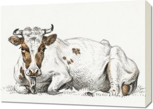 Obraz 70x50cm Leżąca Krowa, Jean Bernard Vintage do Salonu 1