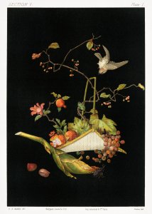 Plakat 50x70cm Japońska Martwa Natura, G.A. Audsley do Salonu 1