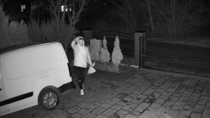 Kamera IP ORLLO Z17 Ultra 4K zewnętrzna obrotowa GSM na kartę SIM 12