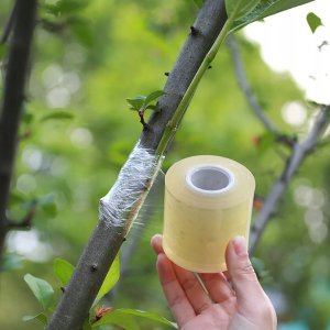 ITIMPORT Taśma do SZCZEPIENIA Roślin Drzew OWOCOWYCH Film 100m x 3cm OGRODNICZA Eko* 8