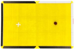 Lep na szczury Pułapka na szczury i myszy 31,5x21x1cm GOODSHOT 4