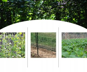 Siatka OGRODOWA OGÓRKI FASOLA Pnących WINOGRON 167 5m ROŚLIN PODPORA Trejaż 2