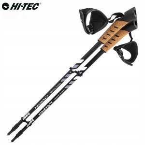 Kije nordic walking ALPENSTOCK II 2