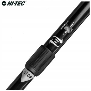 Kije nordic walking ALPENSTOCK II 10