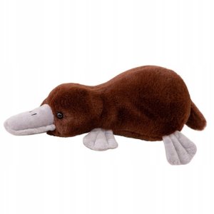 Maskotka Pluszowa Przytulanka Dziobak Brązowy 32cm 1