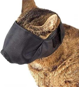 WAU DOG KAGANIEC DLA KOTA DUŻY 1