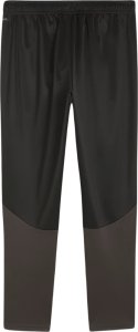 Spodnie męskie Puma Team Goal Training czarne 658639 03 L 2