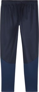 Spodnie męskie Puma Team Goal Training granatowe 658639 06 M 2