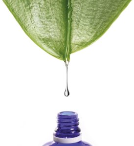 Kwas foliowy 60 kapsułek - PUROMEDICA 2