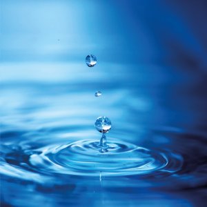 Kwas foliowy 60 kapsułek - PUROMEDICA 5