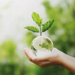 Kwas foliowy 60 kapsułek - PUROMEDICA 7