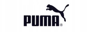 Buty Puma Future 8 Match Low FG/AG 108372-03 8