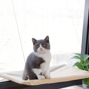 Legowisko OKIENNE dla KOTA 55x35cm DUŻE Wygodne HAMAK LEŻAK NA OKNO do 20kg 5