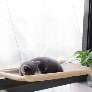 Legowisko OKIENNE dla KOTA 55x35cm DUŻE Wygodne HAMAK LEŻAK NA OKNO do 20kg 7