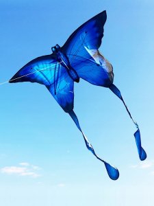 ITIMPORT LATAWIEC XXL Motyl NIEBIESKI Świecący LED 150cm 6
