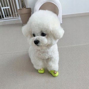 Buty KLAPKI Antypoślizgowe dla ZWIERZĄT PSÓW KOTÓW CHODAKI 1 PARA ZIELONE 11