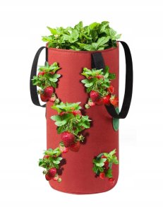 Doniczka WISZĄCA Worek POMIDORKI Warzywa TRUSKAWKI POZIOMKI KIESZENIE 35cm 1