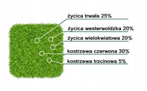 Trawa Na Miejsca Suche Słoneczne Nasiona 10KG Centnas Gobi 400m 3