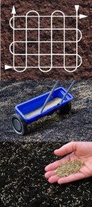 Trawa Na Miejsca Suche Słoneczne Nasiona 10KG Centnas Gobi 400m 4