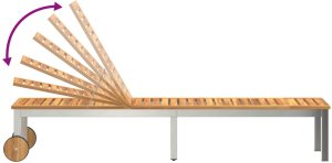 vidaXL Leżak Słoneczny drewno Drewno akacjowe z ramą metalową 9