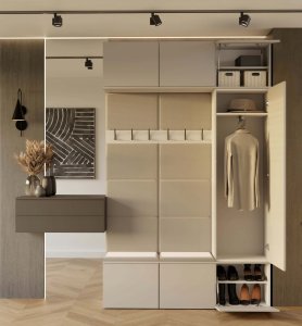 Garderoba HAGA III 1Sz2W KASZMIR  Szafa + 2x Wieszak 4