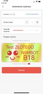 T-pack .NIIMBOT ETYKIETY Naklejki do B18 SREBRNY HOLOGRAM 4