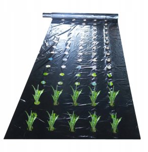 Agrotkanina FOLIA OTWORY SADZONKI na chwasty 10m 1
