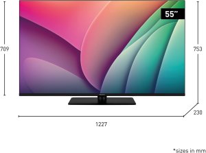 Panasonic TV-55W80AEZ schwarz 1