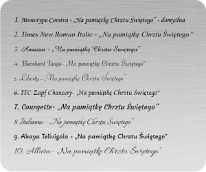 Zilverstad Katze           15x10 Metall Portrait          6917231 5