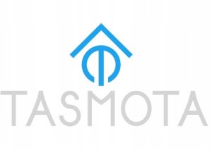 NOUS B2T WiFi Smart Switch Module with Tasmota (ESP32) 3